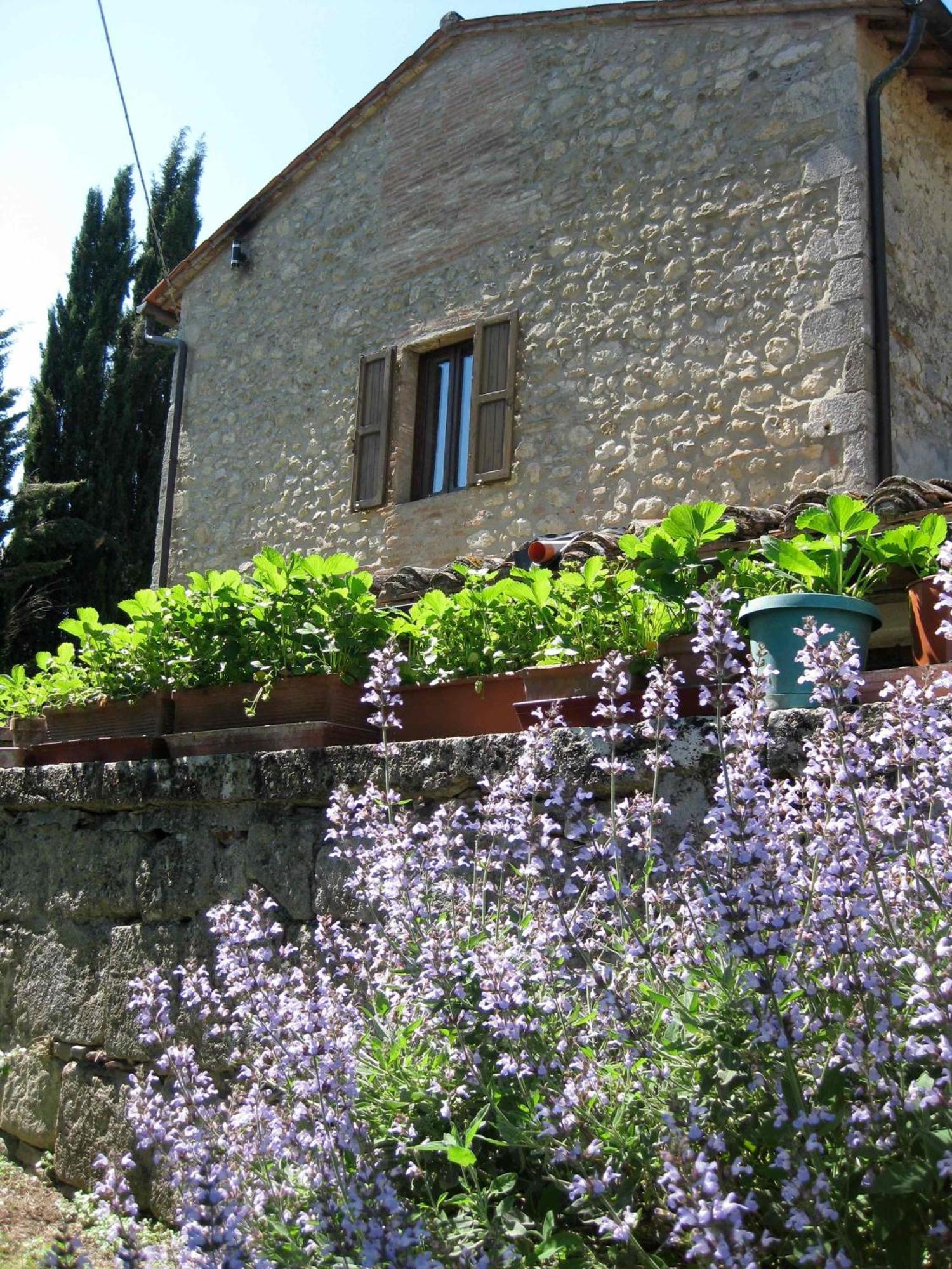 Agriturismo Il Caio شيتونا المظهر الخارجي الصورة