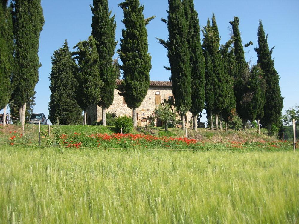 Agriturismo Il Caio شيتونا المظهر الخارجي الصورة